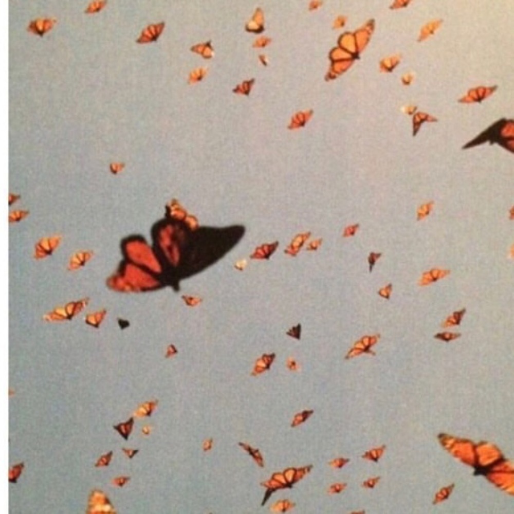 Meet your Posher, Lexi